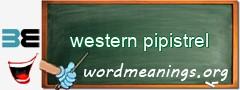 WordMeaning blackboard for western pipistrel